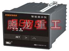 溫度表、數(shù)字顯示儀、濕度表