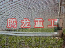 大棚花卉供暖設(shè)備、大棚卉采暖設(shè)備、大棚花卉取暖設(shè)備