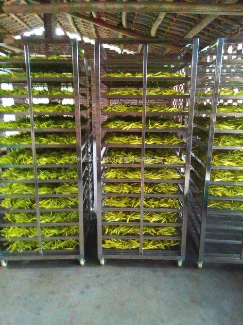 黃花菜烘干機(jī)、黃花菜烘干設(shè)備、黃花菜干燥機(jī)、黃花菜干燥設(shè)備、